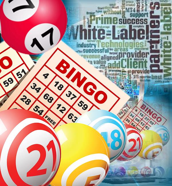 White Label Online Bingo Games Solutions