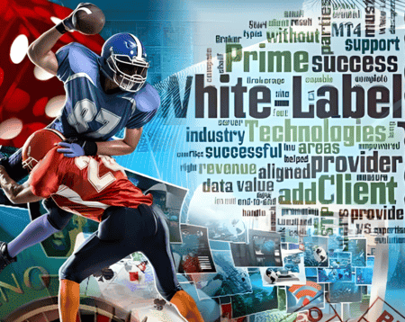 Market-Leading White Label Online Casino Solution